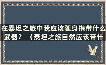 在泰坦之旅中我应该随身携带什么武器？ （泰坦之旅自然应该带什么样的武器）